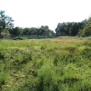 Addax/Stanley Crane/East African Crowned Crane Exhibit