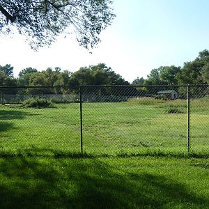 Addax/Stanley Crane/East African Crowned Crane Exhibit
