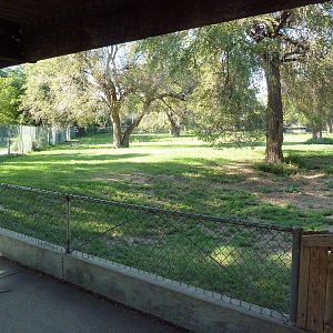 Addax/Stanley Crane/East African Crowned Crane Exhibit