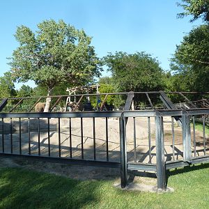 African Elephant Exhibit