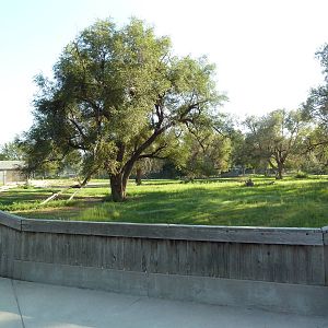 Addax/Stanley Crane/East African Crowned Crane Exhibit