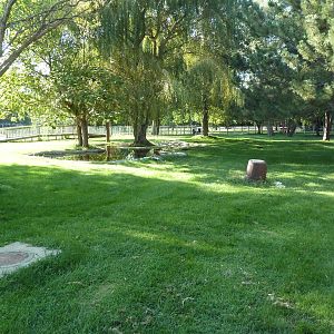 Chilean Flamingo Exhibit