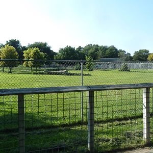 Baird's Tapir/Giant Anteater/Rhea Exhibit
