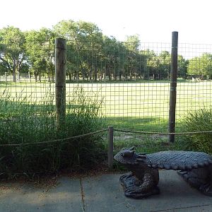 Multi-Acre American Bison/Rocky Mountain Elk Exhibit