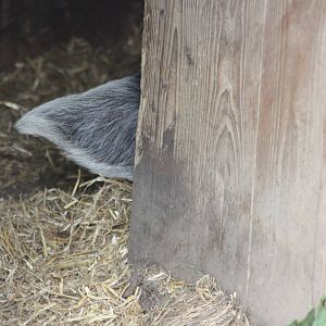 There must be a joke here about a poor photograph, 21st August 2014