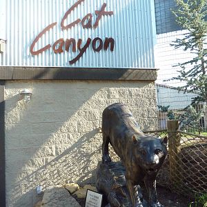 Cat Canyon - Cougar Statue