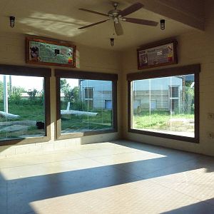 Cat Canyon - Jaguar + Cougar Exhibits