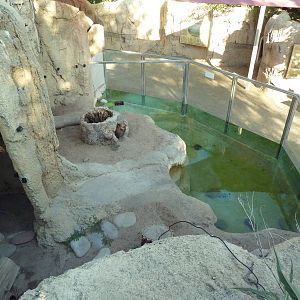 North American River Otter Exhibit - Overhead View