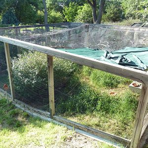 Swift Fox Exhibit - Overhead View