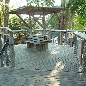 Sloth Bear Exhibit - Viewing Deck