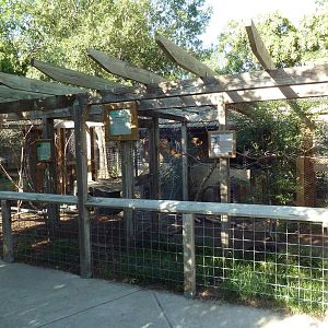Bird Aviaries