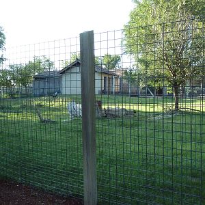 Chinese Goral/Hooded Crane Exhibit