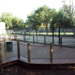 Reticulated Giraffe Exhibit - Viewing Deck