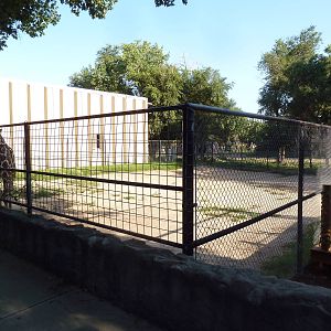 Reticulated Giraffe Exhibit