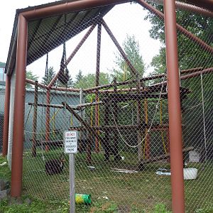 Discovering Primates Building - Bornean Orangutan Exhibit
