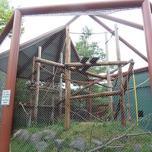 Discovering Primates Building - Ring-Tailed Lemur Exhibit