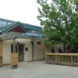 Discovering Primates Building