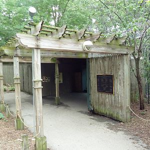 Lion Exhibit - Viewing Shelter
