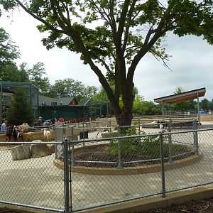 Children's Zoo - Goat Yard