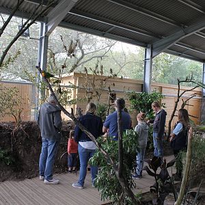 New Lorikeet enclosure 16-8-14