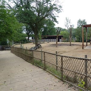 North American Prairie - American Bison Exhibit