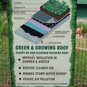 Children's Zoo - Green Roof Sign