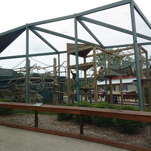Children's Zoo - White-Handed Gibbon Exhibit