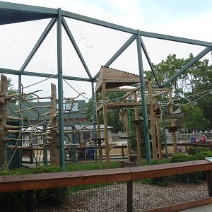 Children's Zoo - White-Handed Gibbon Exhibit