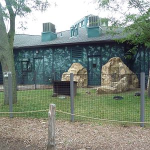 Children's Zoo - Red-Footed Tortoise Exhibit