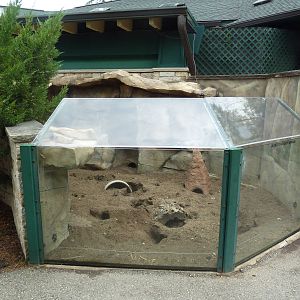 Children's Zoo - Meerkat Exhibit