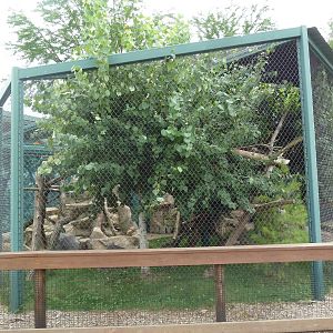 Children's Zoo - Red Panda Exhibit