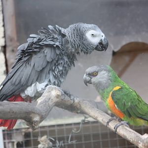 Popeye and Simon, 21st August 2014