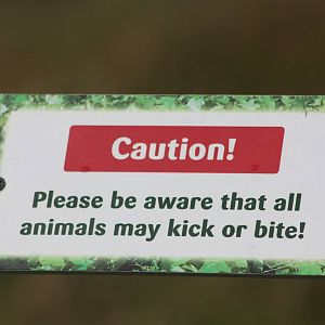 Signage, 21st August 2014