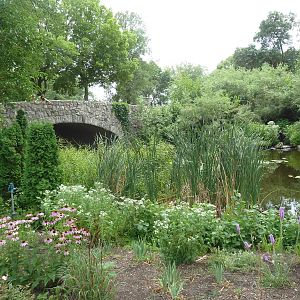 Children's Zoo - Bridge + Pond