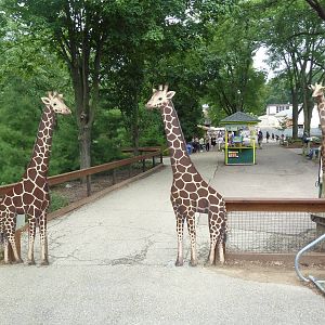 Zoo's 2nd Entrance
