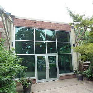 Tropical Rain Forest Building