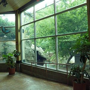 Tropical Rain Forest - Capybara Exhibit