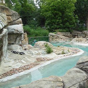 African Penguin Exhibit