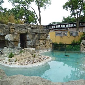 African Penguin Exhibit