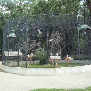 Trumpeter Hornbill/Egret Aviary