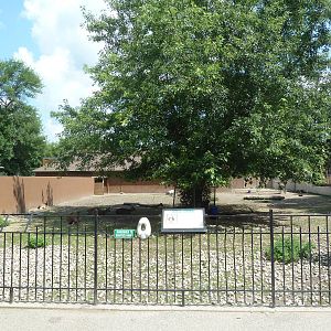 Japanese Sika Deer Exhibit