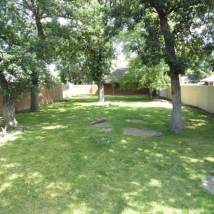 Red Kangaroo Exhibit