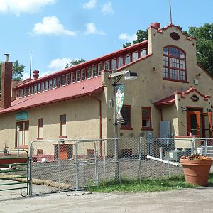 Zoology Building (under construction)