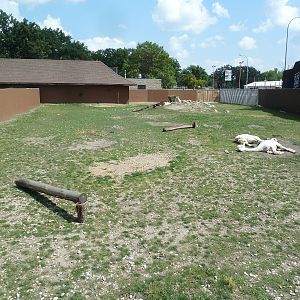 Alpaca/Llama Exhibit
