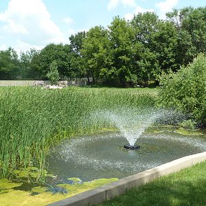 Grant's Zebra Exhibit