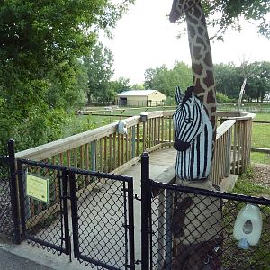 Giraffe Feeding Station