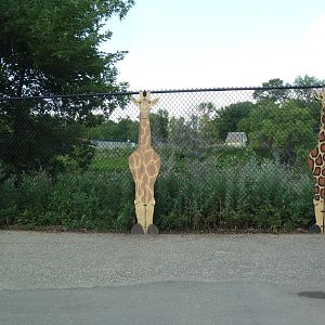 Giraffe Images