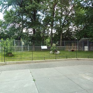 Kirk's Dik-Dik Exhibit