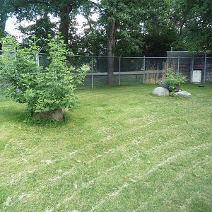 Kirk's Dik-Dik Exhibit