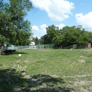 Highland Cattle Exhibit